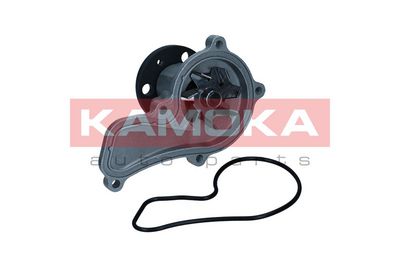 Water Pump, engine cooling KAMOKA T0314