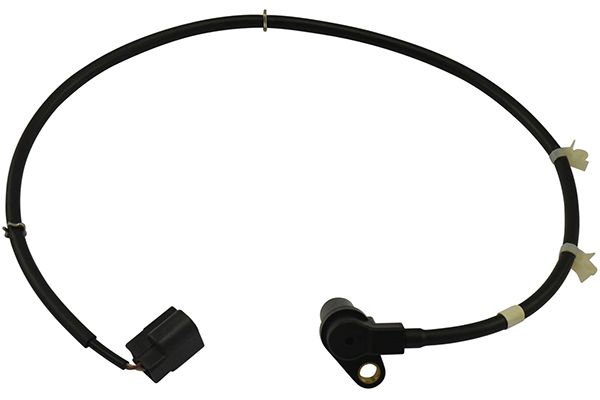 Kavo Parts BAS-5581 Sensor, wheel speed