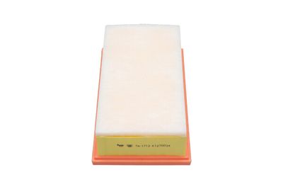 Air Filter Kavo Parts TA-1713
