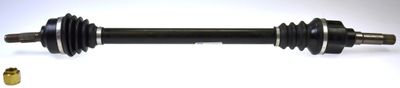 Drive Shaft LÖBRO 304573