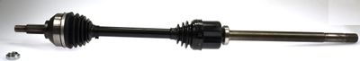 Drive Shaft LÖBRO 304783