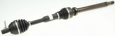 Drive Shaft LÖBRO 306647