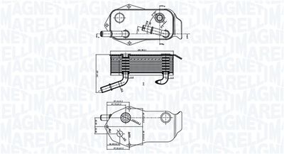 Oil Cooler, engine oil MAGNETI MARELLI 350300004800