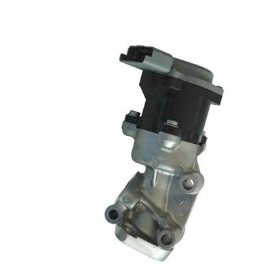 MAGNETI MARELLI 571822112035 EGR Valve