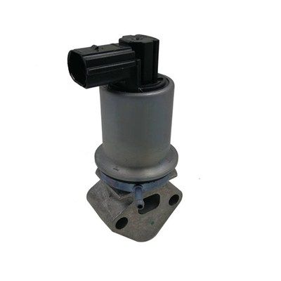 EGR Valve MAGNETI MARELLI 571822112071
