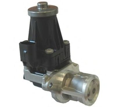 EGR Valve MAGNETI MARELLI 571822112072