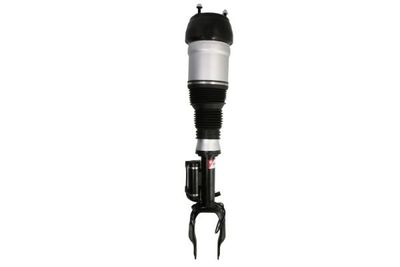 Air Suspension Strut Magnum Technology APM018MT