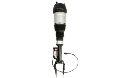 Air Suspension Strut Magnum Technology APM019MT