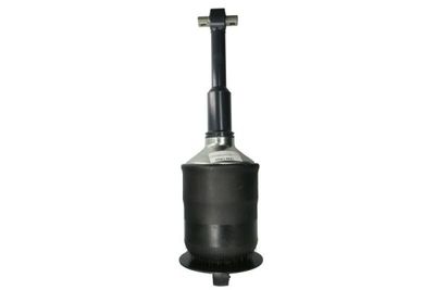 Shock Absorber Magnum Technology M0165