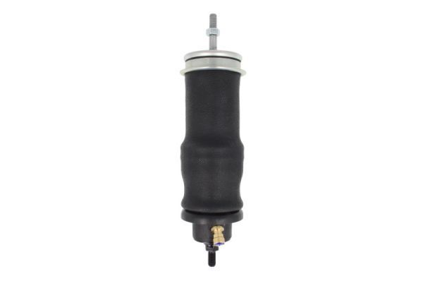 Magnum Technology MC165 Shock Absorber, driver cab suspension