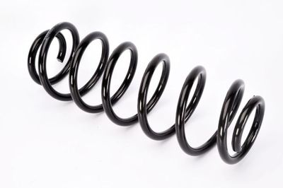Suspension Spring Magnum Technology SA055MT