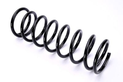 Suspension Spring Magnum Technology SG108MT