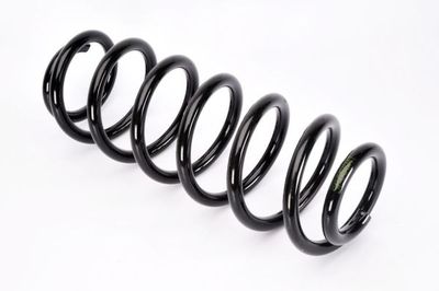 Suspension Spring Magnum Technology SP058MT