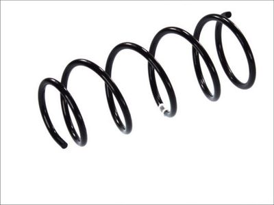 Suspension Spring Magnum Technology SR001MT