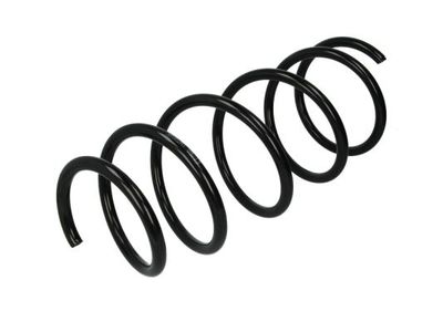 Suspension Spring Magnum Technology SR002MT