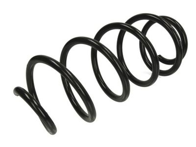 Suspension Spring Magnum Technology SW119MT