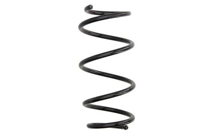 Suspension Spring Magnum Technology SW177