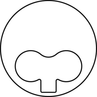 Piston MAHLE 031 89 00