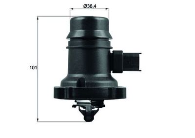 Thermostat, coolant MAHLE TM 37 103