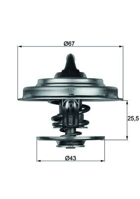 MAHLE TX 18 55D Thermostat, coolant