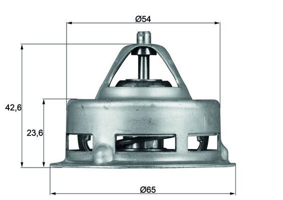 MAHLE TX 2 79 Thermostat, coolant