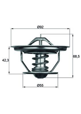 Thermostat, coolant MAHLE TX 35 71