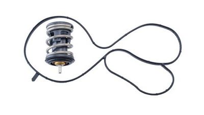 Thermostat, coolant MAHLE TX 489 97D