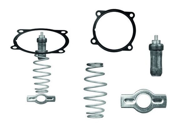 MAHLE TX 51 79D Thermostat, coolant
