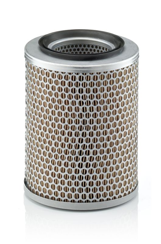 MANN-FILTER C 17 134 Air Filter
