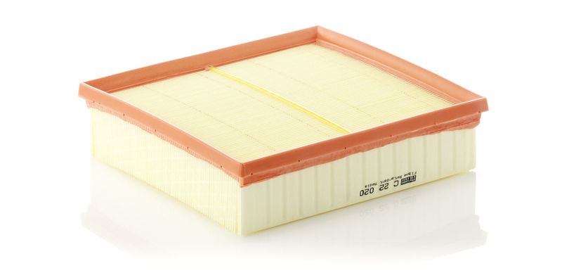 MANN-FILTER C 22 020 Air Filter