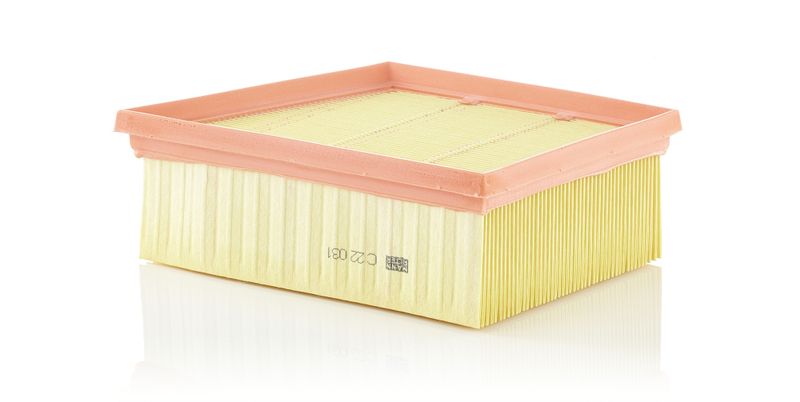 MANN-FILTER C 22 031 Air Filter