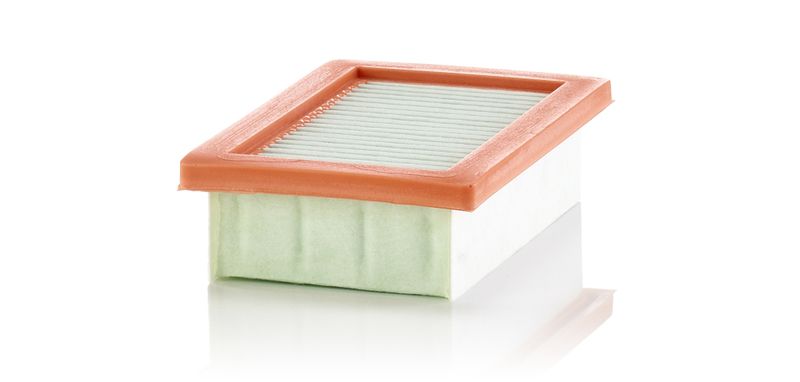 MANN-FILTER C 22 033/1 Air Filter