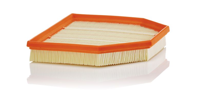 MANN-FILTER C 24 243 Air Filter
