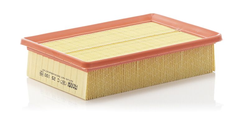 MANN-FILTER C 25 100 Air Filter