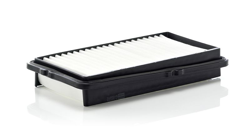 MANN-FILTER C 2537/2 Air Filter