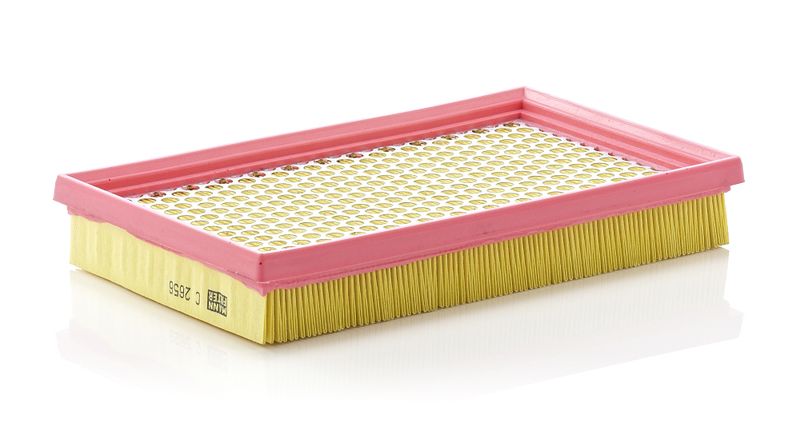 MANN-FILTER C 2656 Air Filter