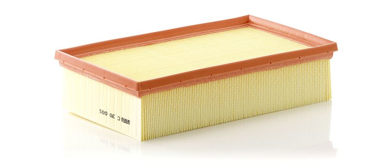 MANN-FILTER C 30 005 Air Filter