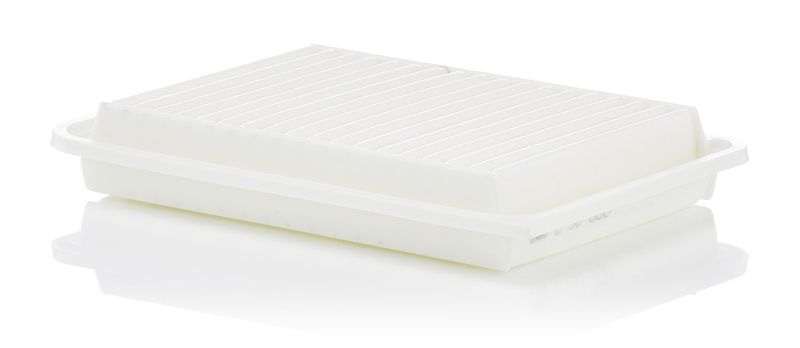 MANN-FILTER C 30 009 Air Filter