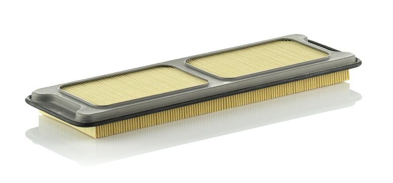 MANN-FILTER C 4373/1 Air Filter