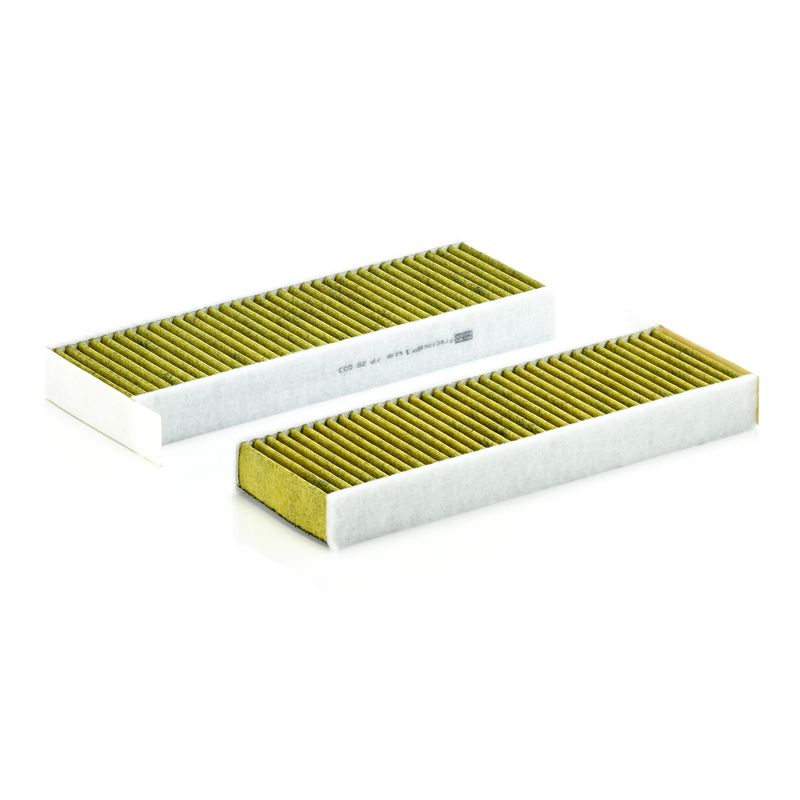 MANN-FILTER FP 29 003-2 Filter, cabin air