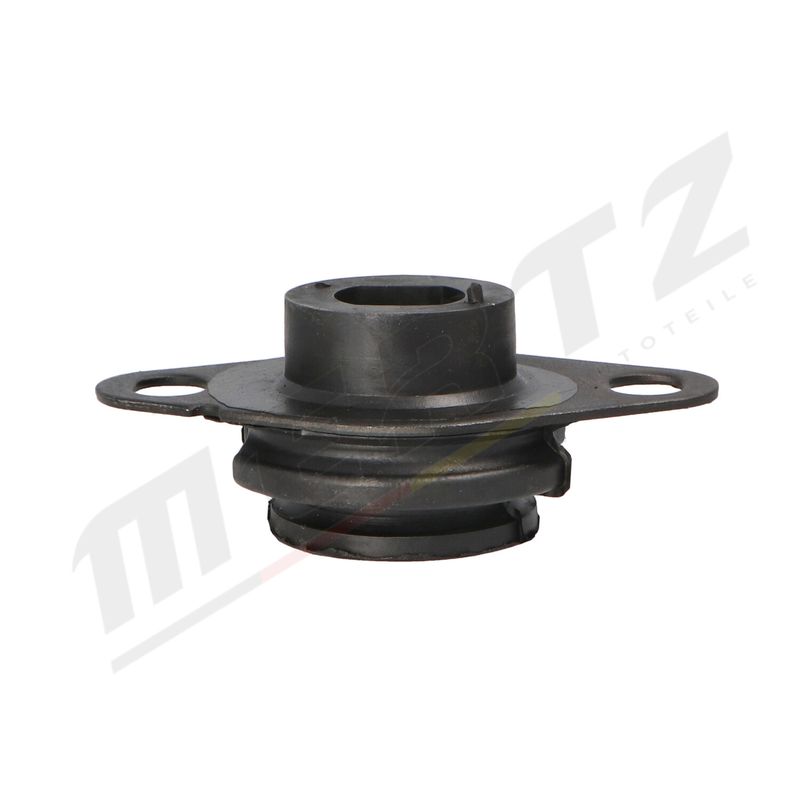 MERTZ M-S4310 Mounting, engine