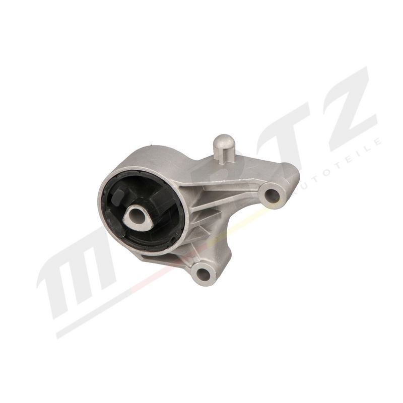 MERTZ M-S4981 Mounting, engine