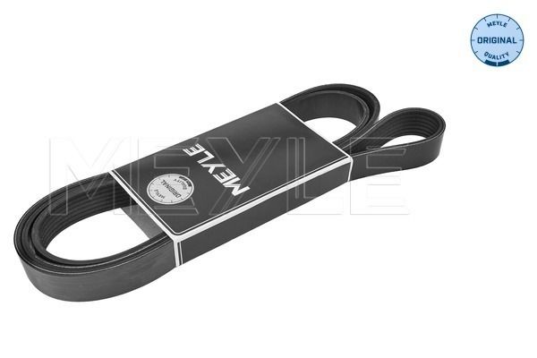 MEYLE 050 007 1855 V-Ribbed Belt