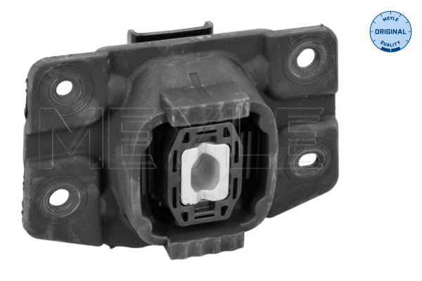 MEYLE 100 199 0197 Mounting, engine