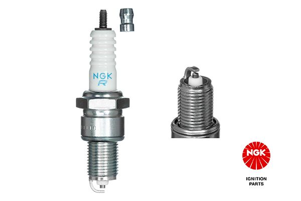 NGK 2023 Spark Plug