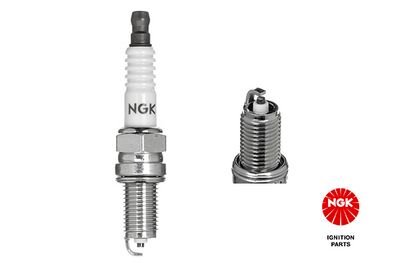 Spark Plug NGK 2256