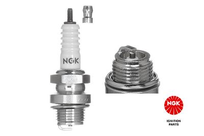 Spark Plug NGK 2910