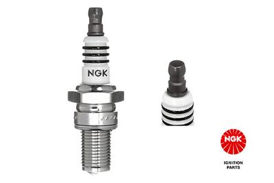 Spark Plug NGK 3006