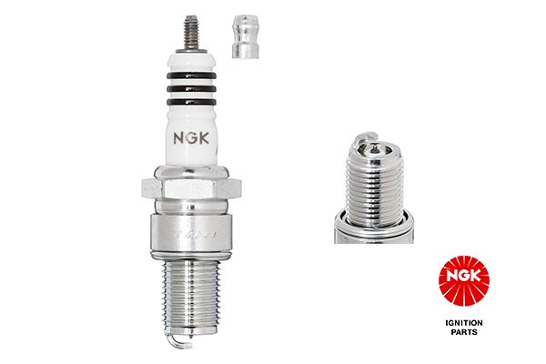 NGK 3981 Spark Plug