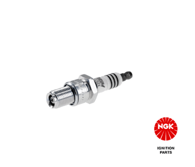Spark Plug NGK 5438